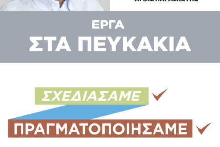Έργα στα Πευκάκια