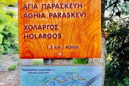 Γ. Σταθόπουλος: Σοβαρά Προβλήματα στα Τμήματα Πολιτικής Προστασίας και Πρασίνου
